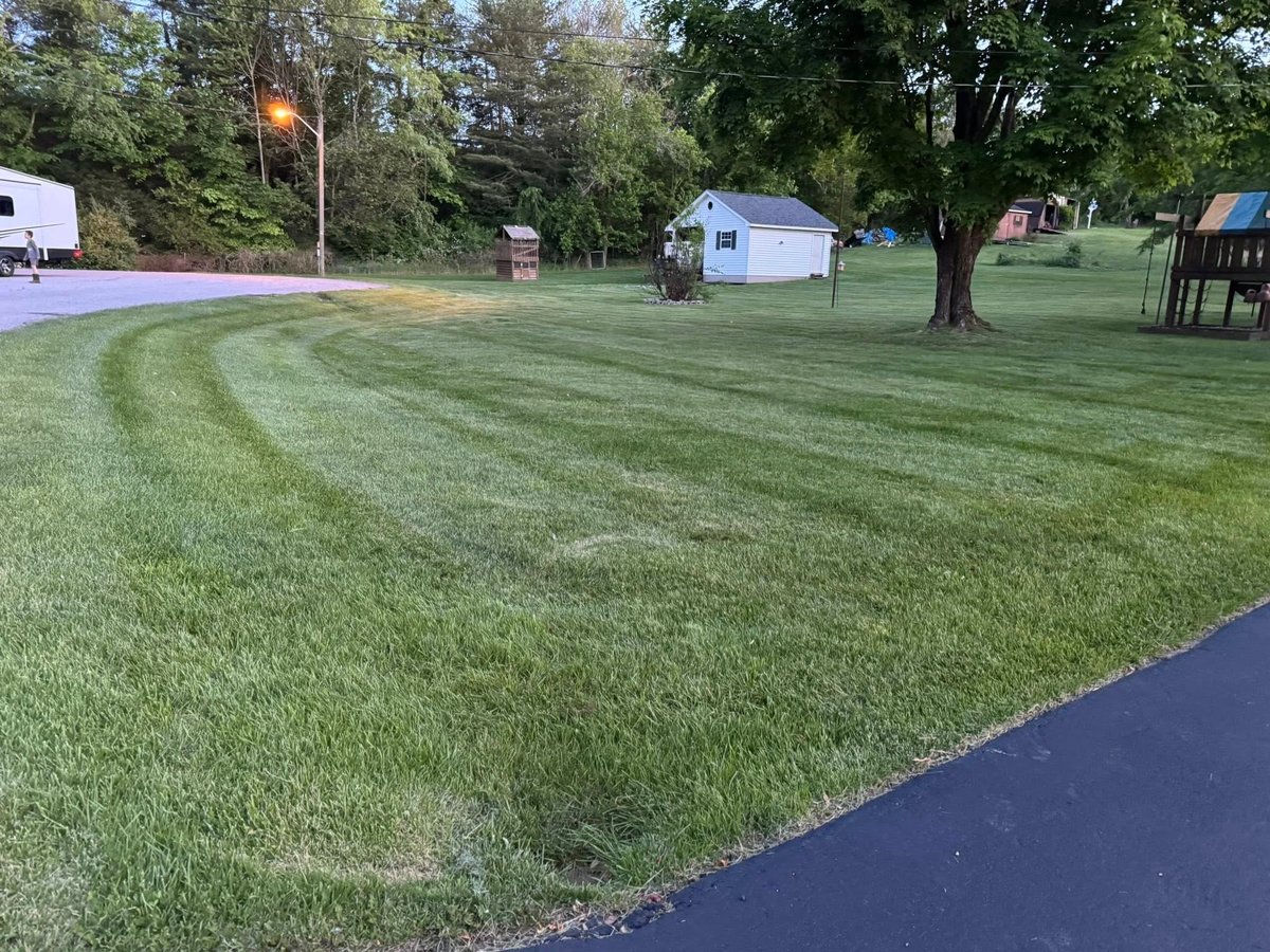 Wide grassy yard with freshly mowed lawn, trees, sheds, and asphalt pathway in a residential property