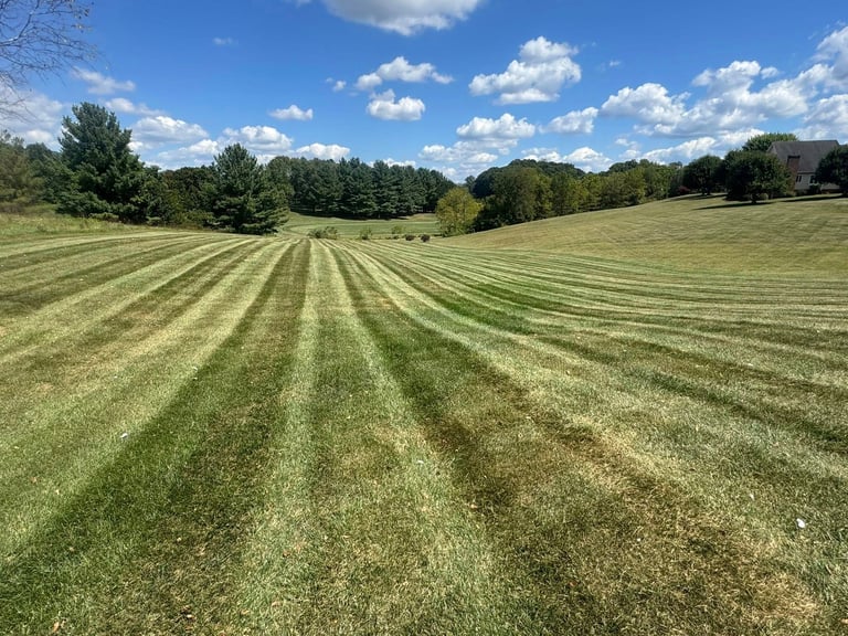 Freshly mowed lawn with alternating striped pattern, tree line in background, and blue sky with white clouds